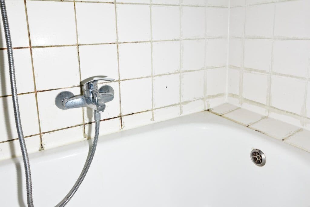 bathtub-and-shower-with-mold