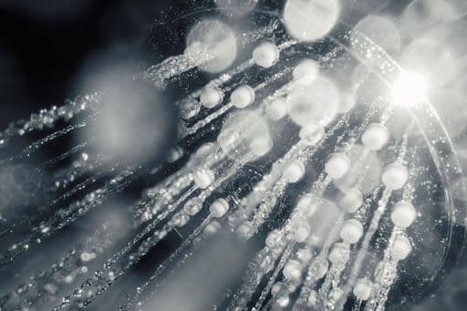 showerhead