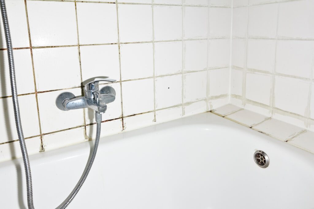 bathtub and shower with mold